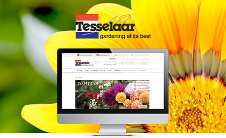 Tesselaar